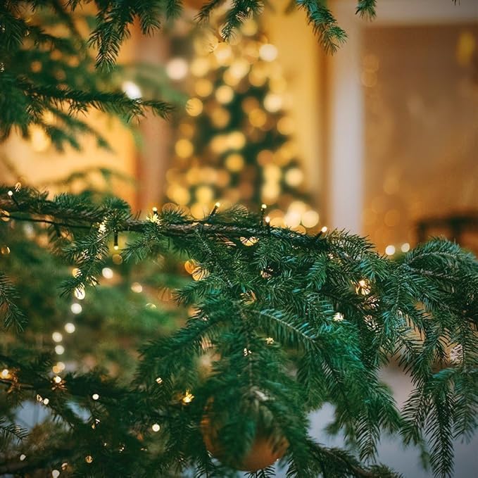 ECALZA® 164ft/50m Christmas Lights Warm Yellow 500 LEDs Outdoor & Indoor Waterproof LED Light Strip