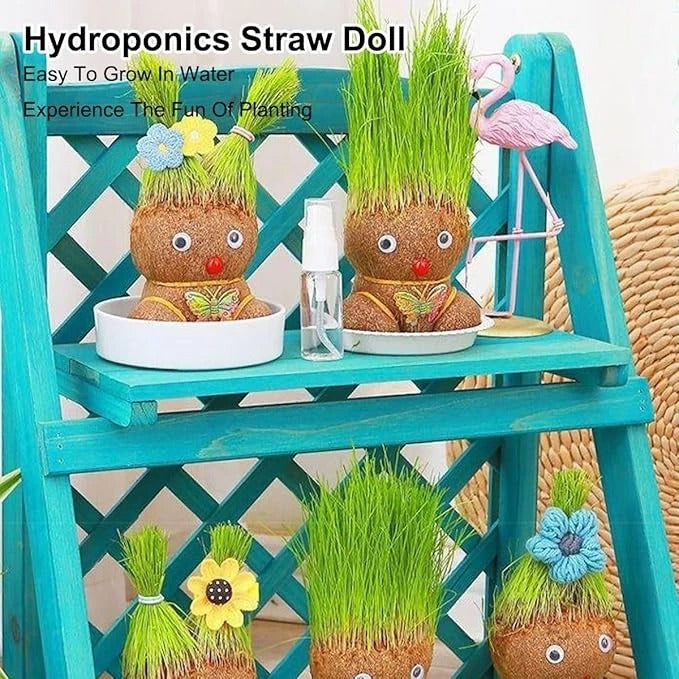 Growing Grass Head Doll Mini Bonsai – Fun, Interactive Greenery for All Ages