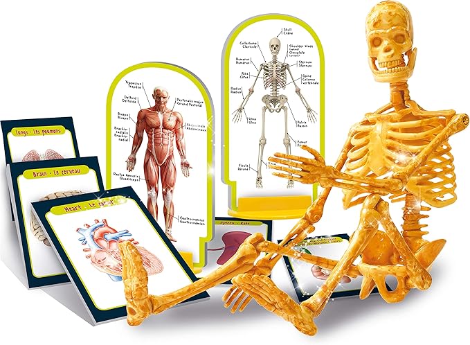 Liscianigiochi I.M. Genius Human Body