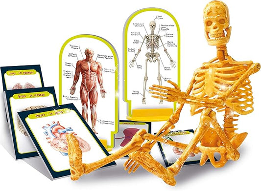 Liscianigiochi I.M. Genius Human Body
