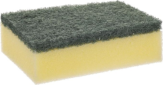 THE MAGIC SPONGE